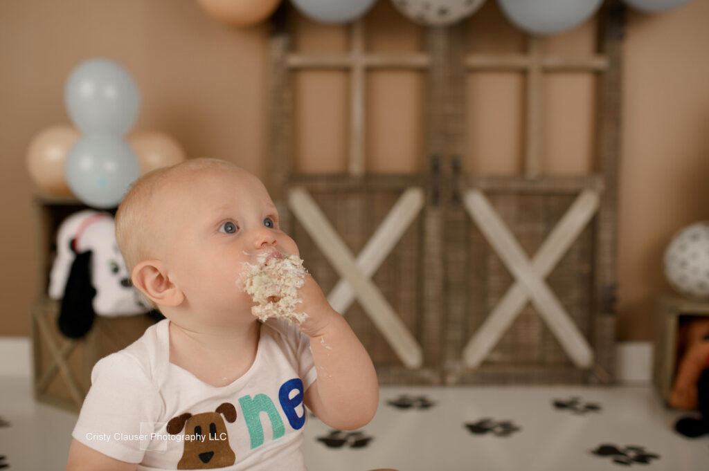 Baby in a white shirt with "one" on it eats a cake with icing on their face. They are sitting on a floor with paw print decorations, in front of wooden barn-style doors and light blue and beige balloons.