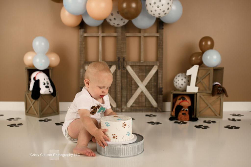 A baby sits on the floor, reaching for a small cake decorated with paw prints. The background has balloons and wooden boxes with dogs and a large number one, creating a puppy-themed setting for a first birthday celebration.