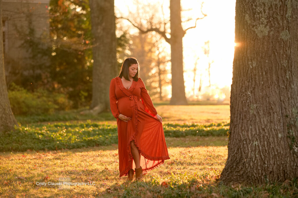 A pregnant woman in a flowing orange dress stands outdoors in a sunlit, grassy area with large trees. She gazes down, gently holding her dress, with warm sunlight streaming through the background. Cristy Clauser Photography