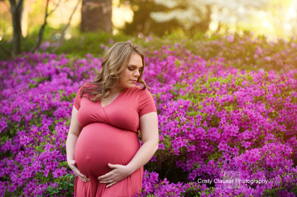 A pregnant woman in a coral dress stands outside, gently holding her belly and looking down, surrounded by vibrant pink and purple flowers under warm sunlight. Cristy Clauser Photography